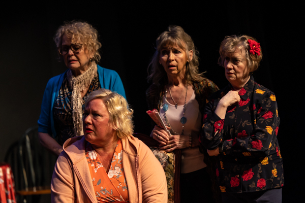 Photos: First look at Aethereal Jest Arts Council's Community Theatre Triple Feature - Volume One Image