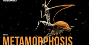 Tour Dates Announced For Frantic Assembly's Adaptation of Franz Kafka's METAMORPHOSIS Photo