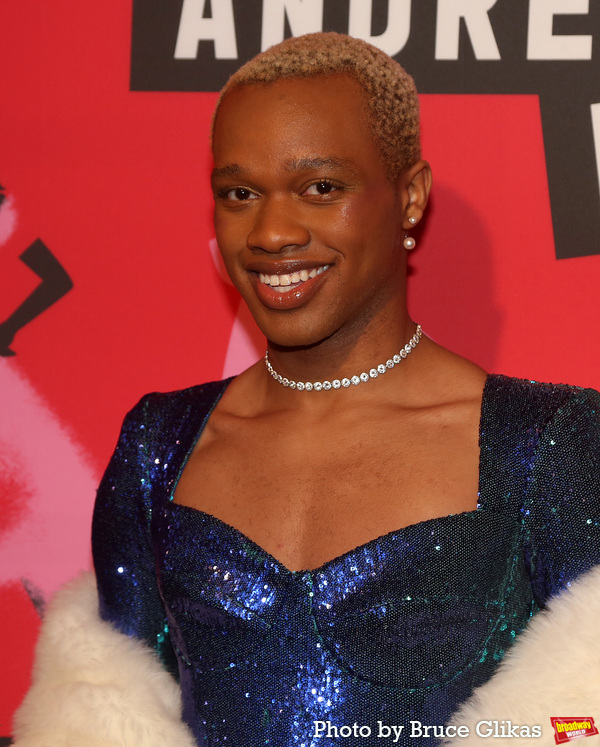 Photos: Stars Arrive on the BAD CINDERELLA Opening Night Red Carpet Image