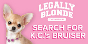 Starlight Searches For Kansas City's Bruiser Woods To Star In LEGALLY BLONDE The Musical Photo