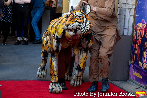 Photos: LIFE OF PI Cast Celebrates Opening Night Image