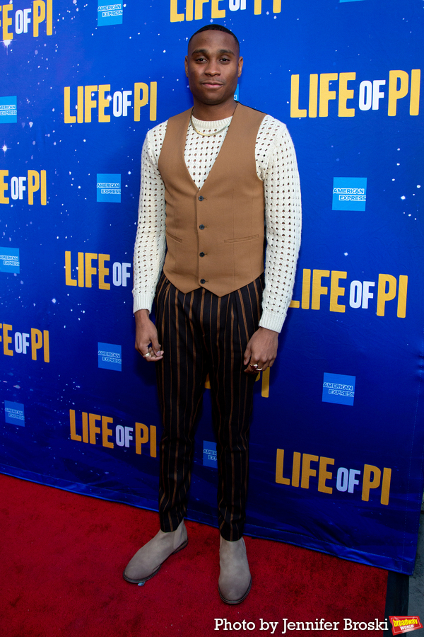 Photos: On the Red Carpet at Opening Night of LIFE OF PI Image