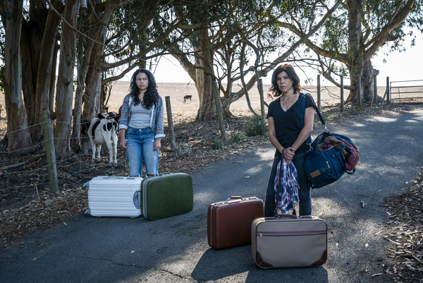Photos: First Look At Amazon Freevee's CASA GRANDE Image