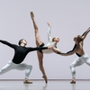 Review: THE NATIONAL BALLET OF CANADA Enraptures Audiences at New York City Center