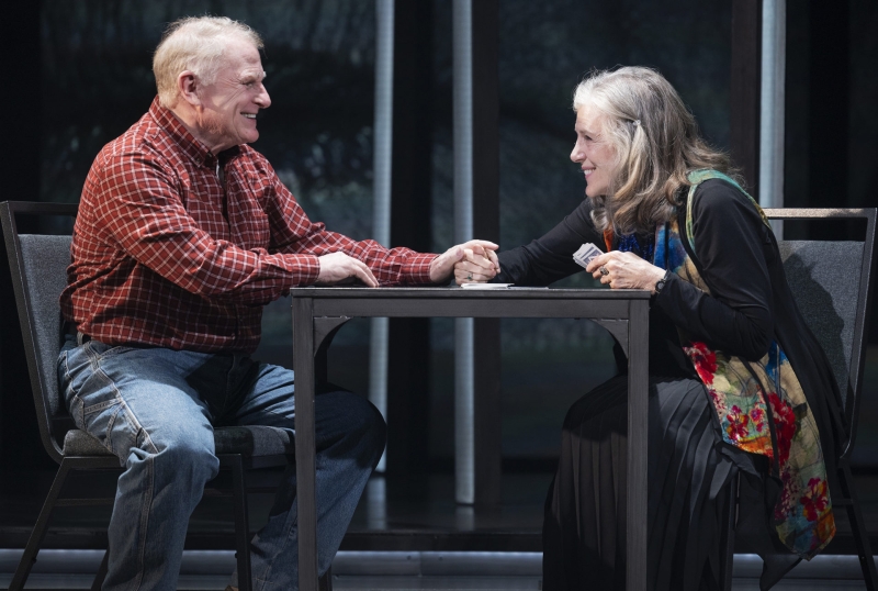 Review: PRU PAYNE at Arizona Theatre Company Image