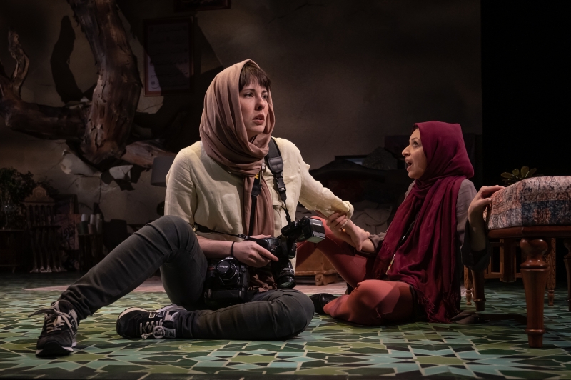 Review: UNSEEN at Mosaic Theater Company Image