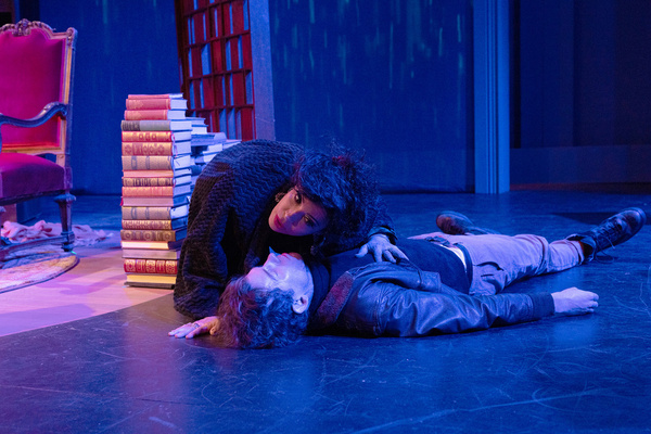 Photos: First Look at Tony Award Winner Paul Sand's THE PILOT WHO CRASHED THE PARTY Image