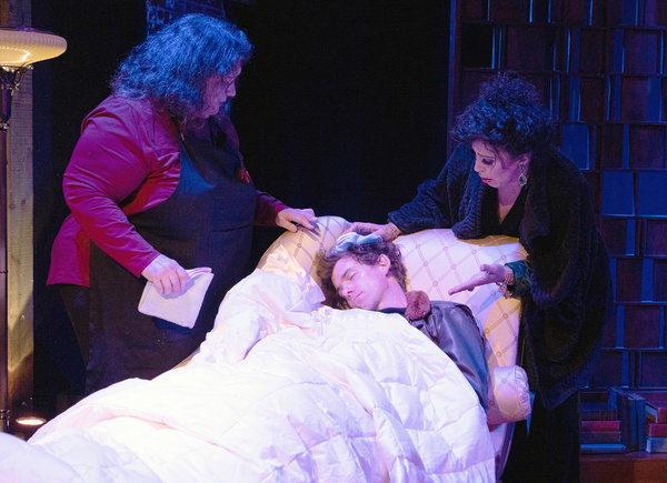 Photos: First Look at Tony Award Winner Paul Sand's THE PILOT WHO CRASHED THE PARTY Image
