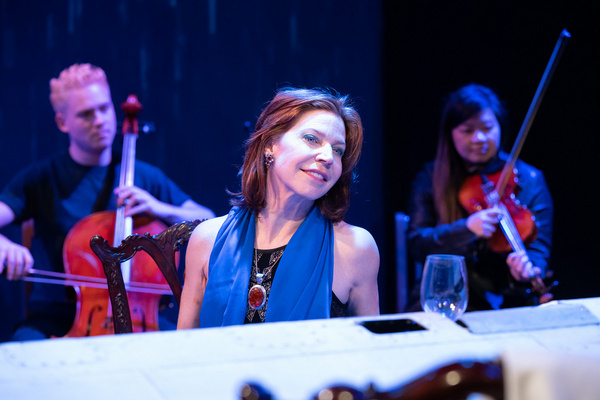 Photos: First Look at Tony Award Winner Paul Sand's THE PILOT WHO CRASHED THE PARTY Image