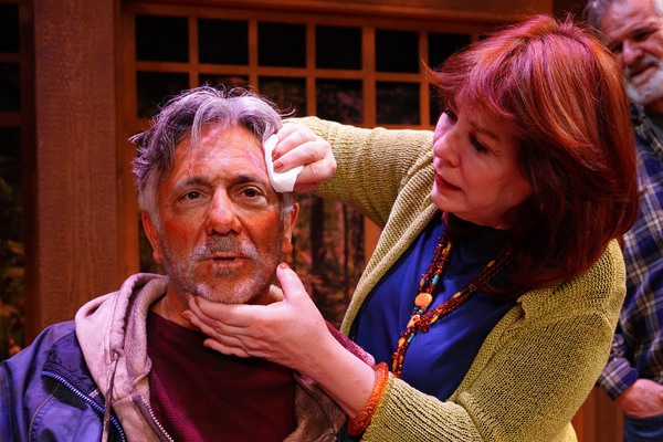 Photos: First Look at SCINTILLA at the Road Theatre Image