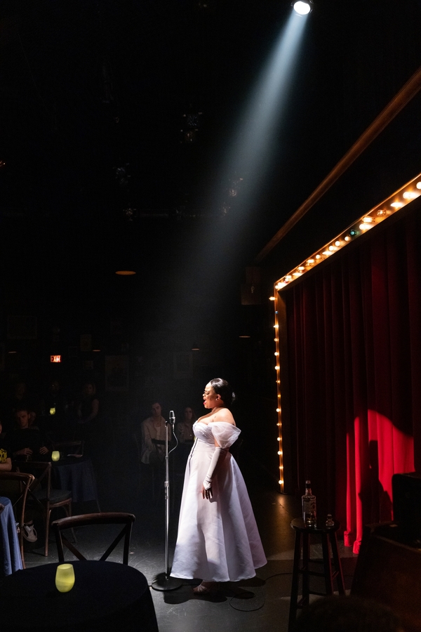 Photos: First Look at Philadelphia Theatre Company's Production of LADY DAY AT EMERSON'S BAR AND GRILL  Image