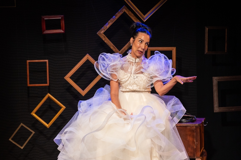 Review: Denise Fennell Captivates Her Audiences with Joy and Sentimental Reflection in THE BRIDE: OR, DOES THIS DRESS MAKE ME LOOK MARRIED? 