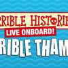 Review: HORRIBLE HISTORIES: TERRIBLE THAMES, Tower Bridge Quay Photo