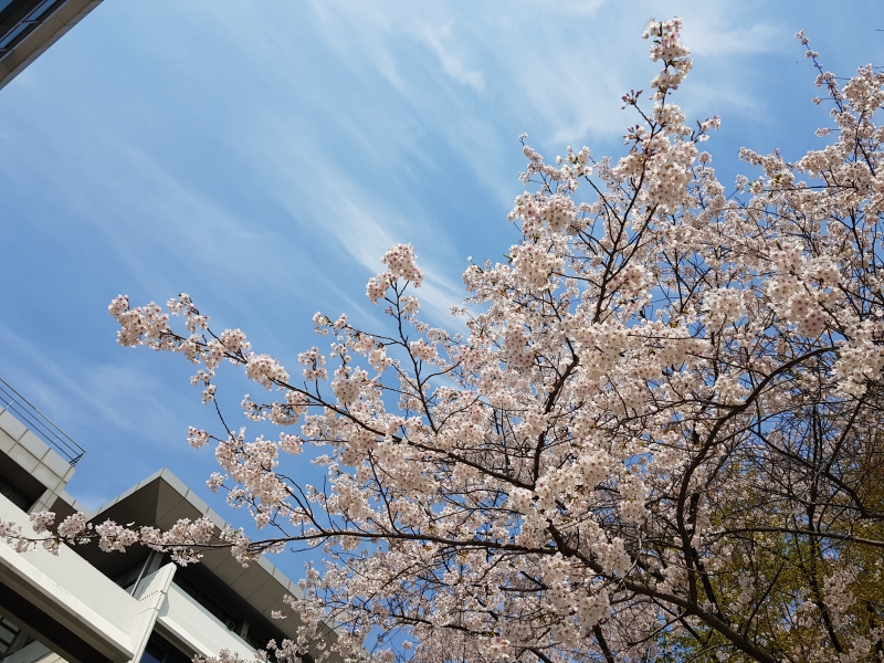 Student Blog: Tips for a Healthier, Happier You - Overcoming Burnout Image