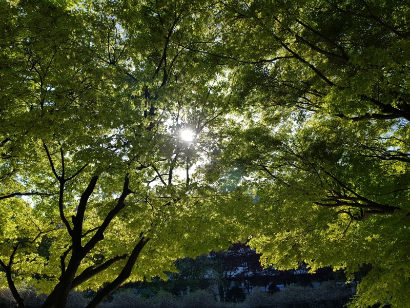 Student Blog: Tips for a Healthier, Happier You - Overcoming Burnout Image