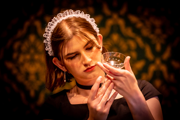 Photos: First Look At New Albany High School Theatre's CLUE ON STAGE - High School Edition! Image