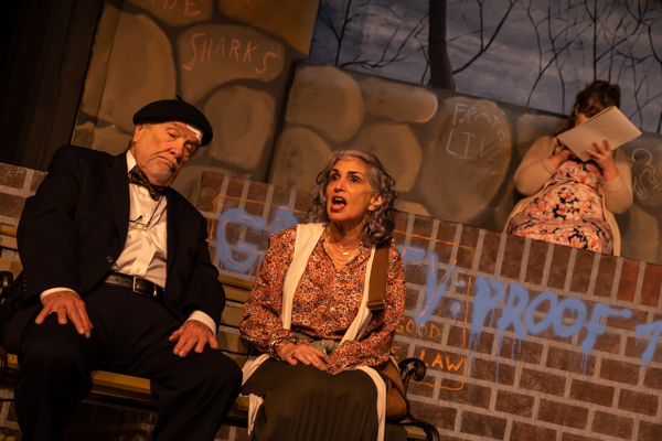 Photos: First Look At Curtain Players' I'M NOT RAPPAPORT  Image