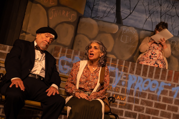 Photos: First Look At Curtain Players' I'M NOT RAPPAPORT Image