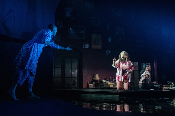 Photos: First Look at SHADOW/LAND at The Public Theater Image