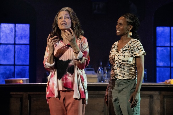Photos: First Look at SHADOW/LAND at The Public Theater Image