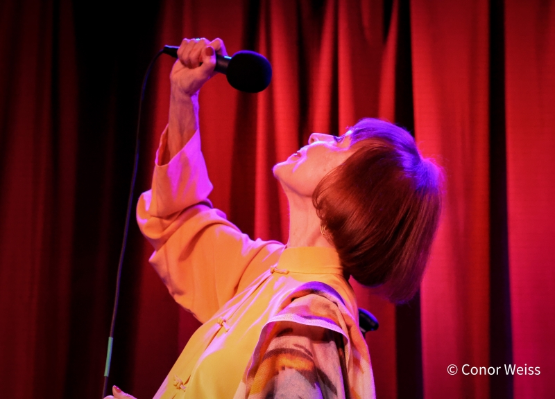 Photos: Karen Akers Returns To Birdland And It's ABOUT TIME Image