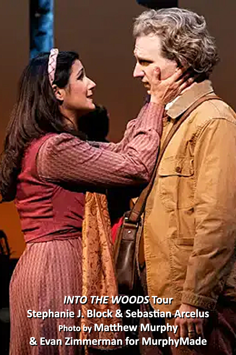 Interview: Stephanie J. Block on Riffing WITH SETH RUDETSKY & Searching INTO THE WOODS Image