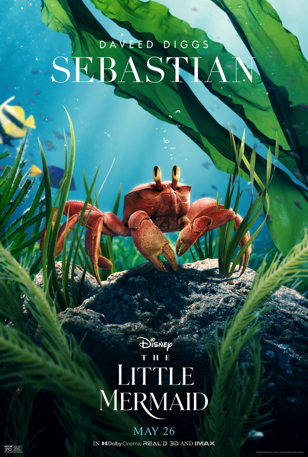 Photos: THE LITTLE MERMAID Character Portraits Feature New Looks at Flounder, Sebastian & More; IMAX Tickets on Sale Now Image