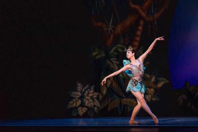 Review: PETER PAN at Knight Theater Image