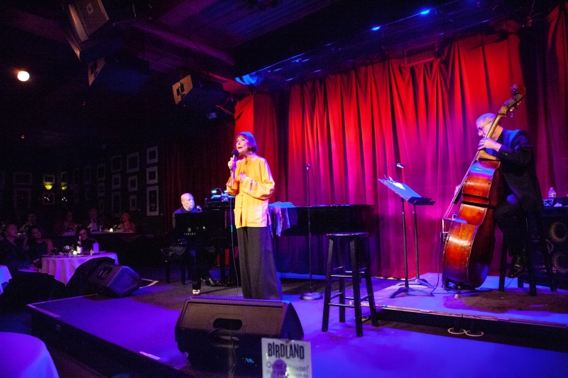 Review: Karen Akers Demonstrates Star And Staying Power With ABOUT TIME at Birdland Image