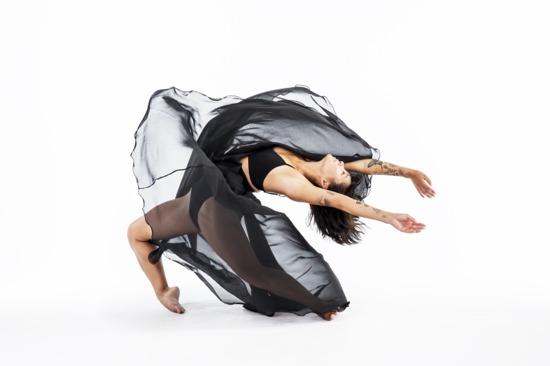 Review: PERIDANCE PRESENTS THE LEGACY FESTIVAL 40TH ANNIVERSARY at NYU Skirball Center Image