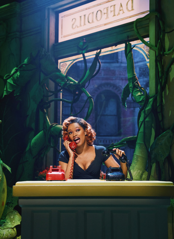 Photos: First Look at Joy Woods and Drew Gehling in LITTLE SHOP OF HORRORS Image
