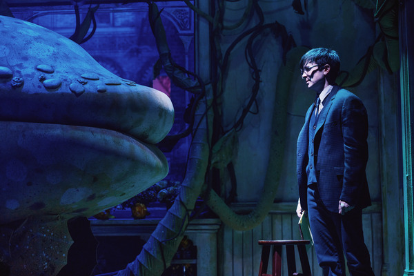 Photos: First Look at Joy Woods and Drew Gehling in LITTLE SHOP OF HORRORS Image