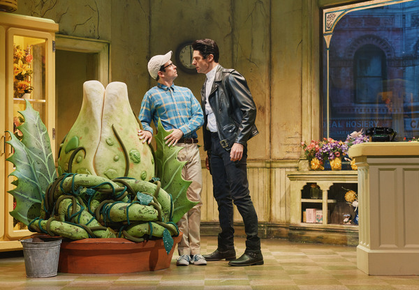 Photos: First Look at Joy Woods and Drew Gehling in LITTLE SHOP OF HORRORS Image