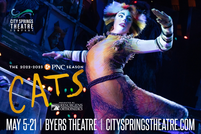 CATS: The Musical' Louisville Broadway review: Great songs, costumes