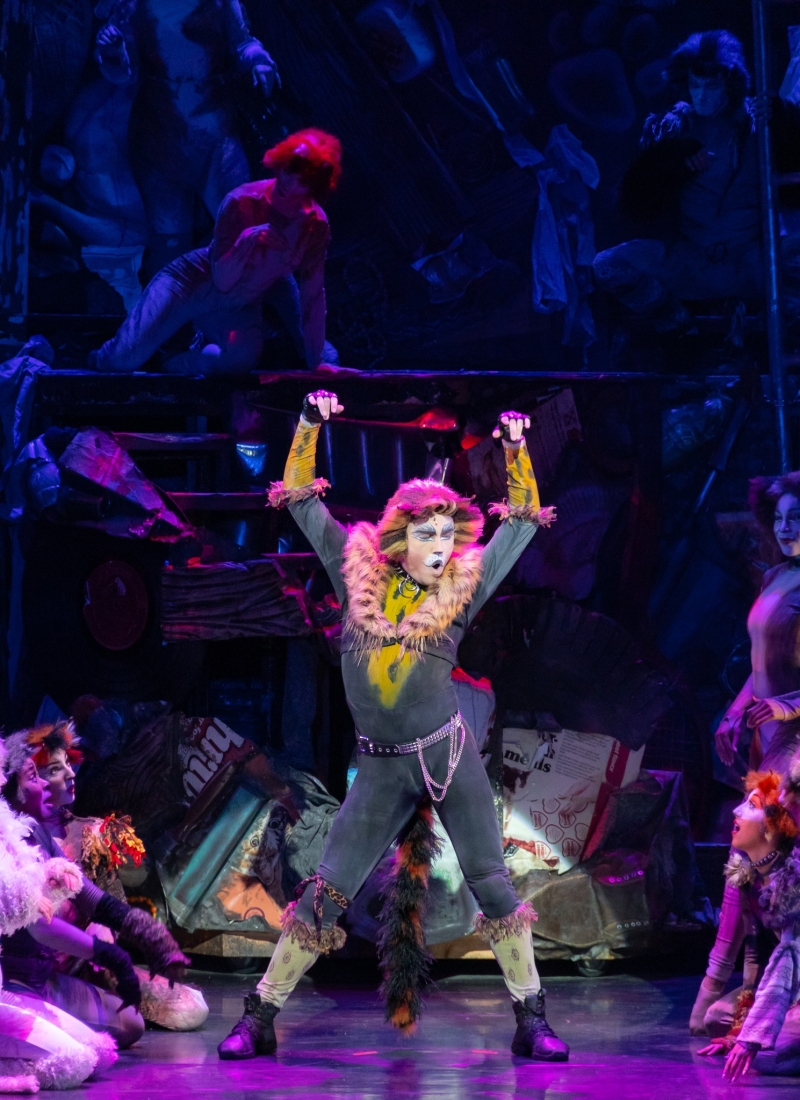Review: CATS IS A “MEMORY” YOU WON'T FORGET at City Springs Theatre Company 