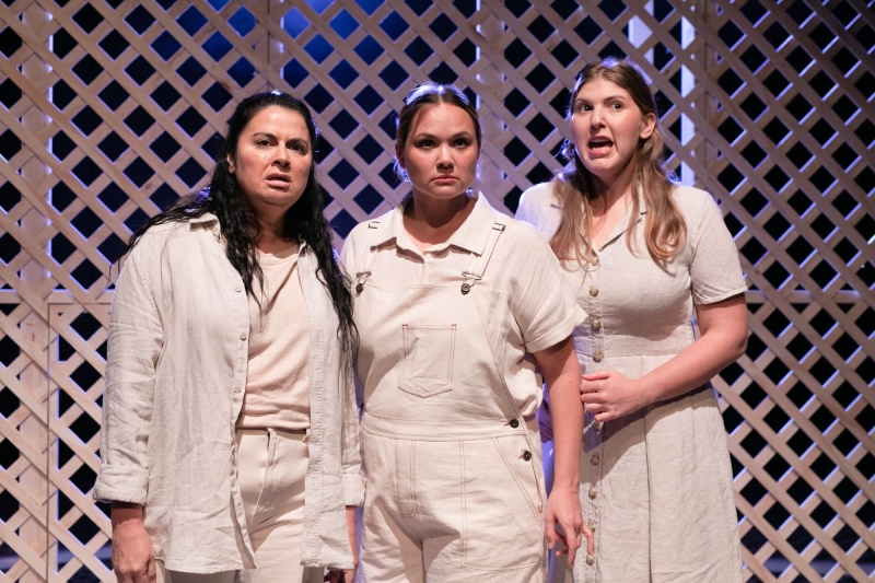 Review: THE BLEEDING TREE at Studio Underground At State Theatre Centre Image