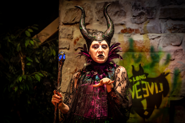 Photos: First Look At Rise Up Art Alliance Youth Theatre's DESCENDANTS The MUSICAL Image