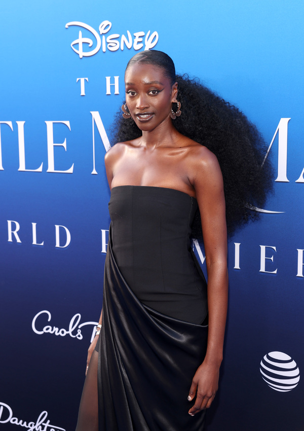 PHOTO FLASH: Premiere de LA SIRENITA en Los Ángeles Image