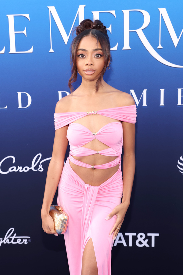 PHOTO FLASH: Premiere de LA SIRENITA en Los Ángeles Image