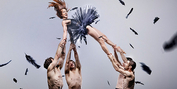 DUCK POND Comes to Queensland Performing Arts Centre in July Photo