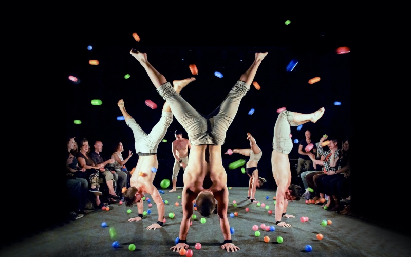 Interview: Lisa Marie DiLiberto of JUNIOR at Harbourfront Centre Image