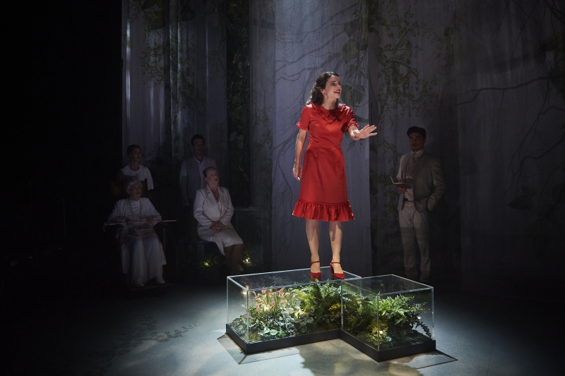 REVIEW: Tennessee Williams' SUDDENLY LAST SUMMER Is Presented With Simplicity At Ensemble Theatre Image