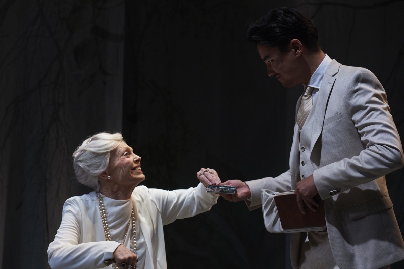 REVIEW: Tennessee Williams' SUDDENLY LAST SUMMER Is Presented With Simplicity At Ensemble Theatre Image