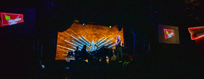 Review: BroadwayWorld's 20th Anniversary Concert Thrills And Satisfies at Sony Hall Image