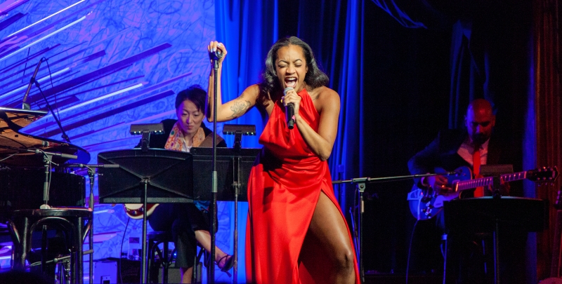 Review: BroadwayWorld's 20th Anniversary Concert Thrills And Satisfies at Sony Hall Image