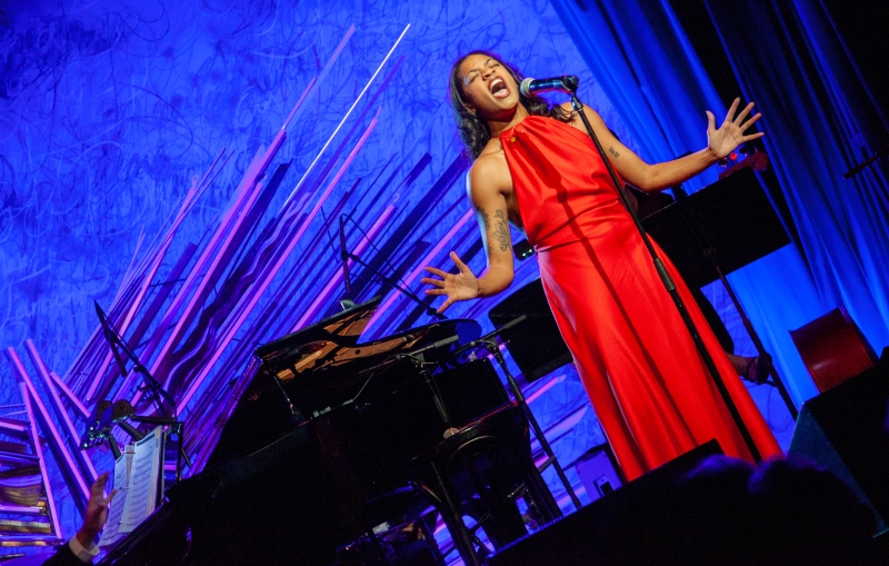 Review: BroadwayWorld's 20th Anniversary Concert Thrills And Satisfies at Sony Hall Image