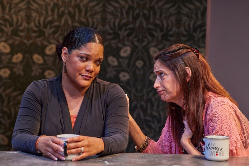Review: HURRICANE DIANE at Avant Bard Theatre Image