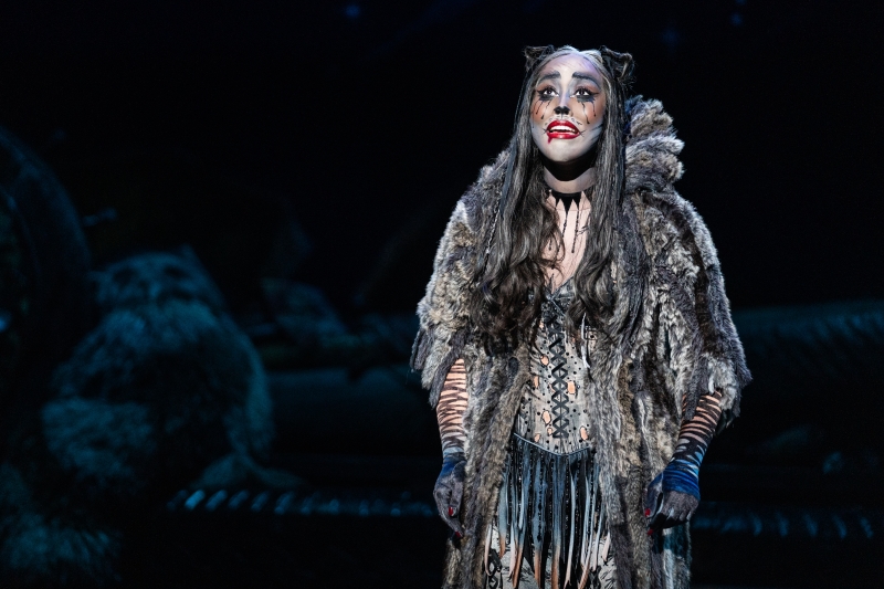 Review: CATS is the Latest Musical to Prowl Onto the Vancouver Stage Image