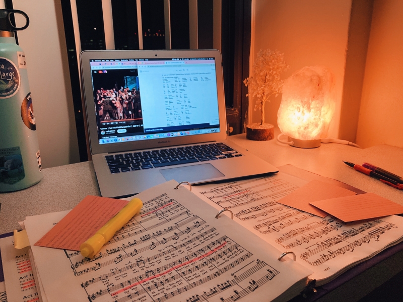Student Blog: A Theatre Major Takes On Opera 