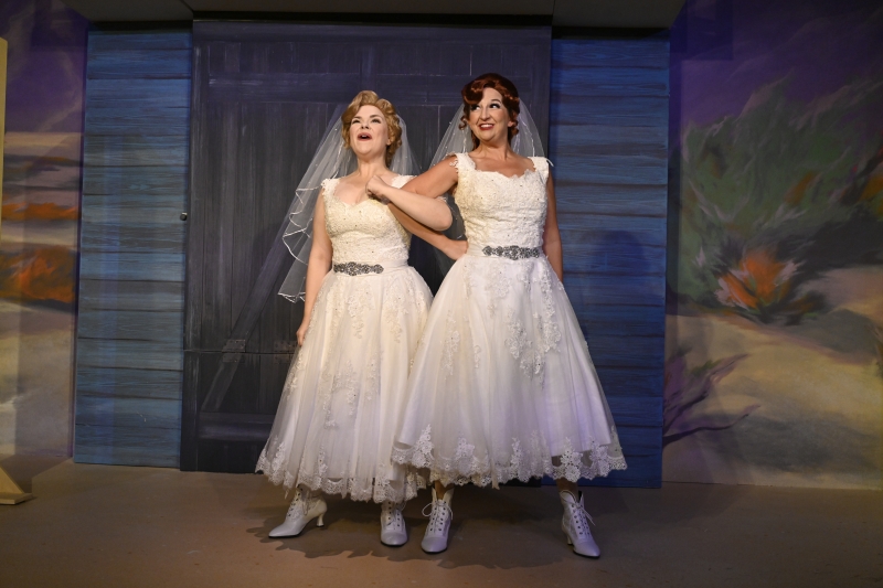 Review: DESPERATE MEASURES at The Winter Park Playhouse 